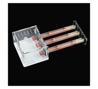 Ant Farm, Nichoir à fourmis en acrylique, château d'élevage de fourmis pour les reines - Formicarium éducatif et atelier d'alimentation Accessoires pour enfants Atelier d'étude des fourmis