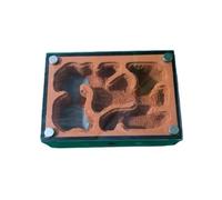 Ant Farm & Nid Atelier d'apprentissage des Fourmis en Acrylique Transparent, Nid De Scientifique Ferme Naturelle Formicarium