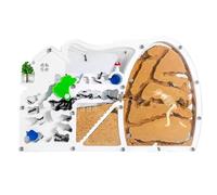 Ant Farm & Nid Château De Ferme Fourmis Sable, Habitat avec Dinosaure Creusant pour Étudier Le Comportement L'écosystème des Colonies, Éducatif Ferme Naturelle Formicarium