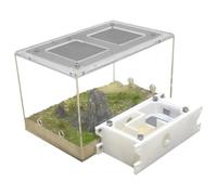 Ant Farm & Nid Château De Fourmis Étude du Comportement L'écosystème des Kit d'apprentissage Scientifique Éducatif pour La Ferme Ferme Naturelle Formicarium