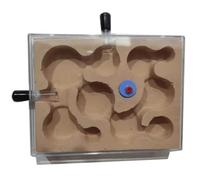 Ant Farm & Nid Château De Fourmis Facile À Installer, Ferme Nid, Montre Les Creuser Leurs Propres Tunnels pour Adultes Ferme Naturelle Formicarium