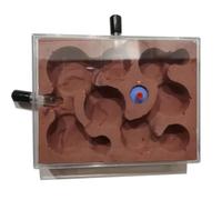 Ant Farm & Nid Château De Fourmis Facile À Installer, Ferme Nid, Montre Les Creuser Leurs Propres Tunnels pour Adultes Ferme Naturelle Formicarium