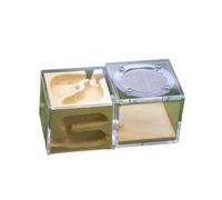 Ant Farm & Nid Château De Fourmis Fourmilière en Plâtre Ferme Palais Nidification pour Enfants Ferme Naturelle Formicarium