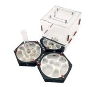 Ant Farm & Nid Château De Fourmis, Station Spatiale, Nid Arrière, Ferme avec Tour d'eau, Kit Facile À Observer Ferme Naturelle Formicarium