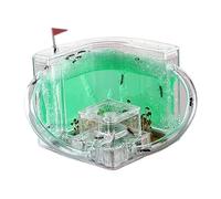 Ant Farm & Nid Château De Fourmis, Studio, Habitat, Ferme, Kit D'éducation Et d'apprentissage Scientifique, Nid Ferme Naturelle Formicarium