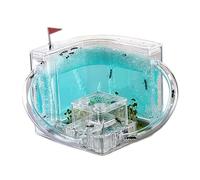 Ant Farm & Nid Château De Fourmis, Studio, Habitat, Ferme, Kit D'éducation Et d'apprentissage Scientifique, Nid Ferme Naturelle Formicarium