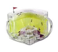 Ant Farm & Nid Château De Fourmis, Studio, Habitat, Ferme, Kit D'éducation Et d'apprentissage Scientifique, Nid Ferme Naturelle Formicarium