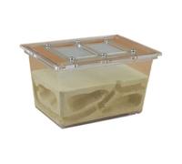 Ant Farm & Nid Écosystème De Recherche sur Le Château des Fourmis Ferme Petite Tétraédriques Nids Ferme Naturelle Formicarium