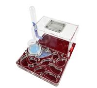 Ant Farm & Nid Ferme De Fourmis en Acrylique À Double Tour d'eau avec Zone d'alimentation pour Les Amoureux des Ferme Naturelle Formicarium