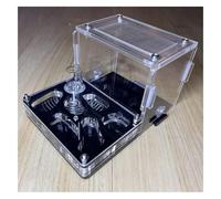 Ant Farm & Nid Ferme De Fourmis en Acrylique, Château, avec Tour d'eau Hydratante, Nid, Kit d'apprentissage Scientifique Éducatif Ferme Naturelle Formicarium