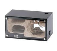 Ant Farm & Nid Ferme De Fourmis en Béton avec Zone Chasse, Expansion Verticale Illimitée, Nid, Atelier Fourmilière pour Animaux Compagnie, Château Ferme Naturelle Formicarium