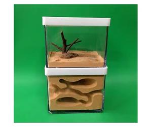 Ant Farm & Nid Ferme De Fourmis, Étude du Comportement des, Nid, Château Éducatif en Gypse Transparent, Boîte d'alimentation, Apprentissage Ferme Naturelle Formicarium