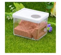 Ant Farm & Nid Fourmilière Carrée en Plâtre pour Animaux De Compagnie, Boîte À Insectes, Atelier pour Fourmis, Utilisé pour L'éducation Scientifique sur Les Ferme Naturelle Formicarium