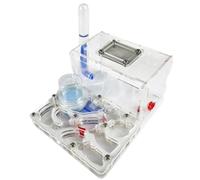 Ant Farm & Nid Fourmilière en Acrylique À Surface Plane avec Bassin Hydratant Et Zone D'activité Ferme Naturelle Formicarium