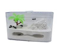 Ant Farm & Nid Habitat De La Ferme À Fourmis Nid Écosystème d'alimentation Kit d'apprentissage Éducatif Et Scientifique Château Ferme Naturelle Formicarium