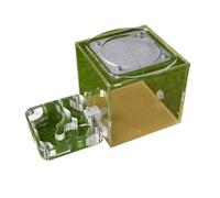 Ant Farm & Nid Habitat des Fourmis Château De École Recherche sur Les Fourmilières Comportement Biologique Nid Ferme Naturelle Formicarium