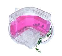 Ant Farm & Nid Kit D'observation De Château Fourmis, D'élevage en Gel Translucide, Ferme Nid, Science L'habitat des Ferme Naturelle Formicarium