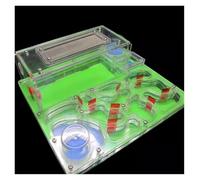 Ant Farm & Nid Nid De Fourmis en Acrylique, Grande Ferme Plate avec Zone d'alimentation, Maison pour Animaux Compagnie, Atelier, Château pour Étude Ferme Naturelle Formicarium