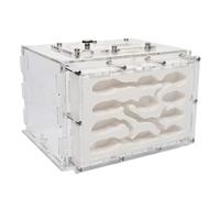 Ant Farm & Nid Nid De Fourmis en Plâtre, Ferme À Monter Soi-même, avec Zone d'alimentation, Hydratation Écologique, Atelier Ferme Naturelle Formicarium