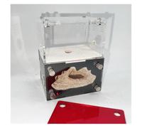 Ant Farm & Nid Nid De Fourmis Fourmilière pour Ferme Maison D'étude du Comportement des pour L'éducation Scientifique Ferme Naturelle Formicarium
