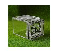 Ant Farm Petit nid de fourmis en forme de cube en acrylique Kit d'apprentissage scientifique de l'habitat de fourmis 3D pour enfants Étudier les fourmis, 7,7 x 6 x 5,3 cm