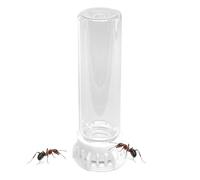 Ant Feeder, Transparent Pet Farm Water Bowls, Non Slip Feeders Station, 3.94x1.18x1.18 inches, Portable Heavy Duty Design, Clear for Nest, Indoor Hydration, Care