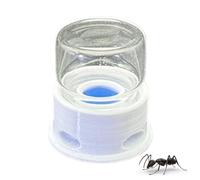 Ant Feeder Water Station, Transparent Water Feeding Tray, Anti-Drowning Drinking Dispenser, Refillable Hydration Tool for Home, Classroom, Or Outdoor Observation, 1.42x1.5 inches