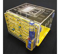 ANT GRAPE humidité de Bricolage Grand 9color Disponible avec nid de fourmilière, Fourmi Acrylique, fourmilière Acrylique (Yellow)