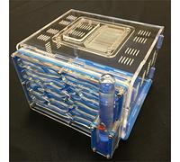 ANT GRAPE humidité de Bricolage Grand 9color Disponible avec nid de fourmilière, Fourmi Acrylique, fourmilière Acrylique (Blue)