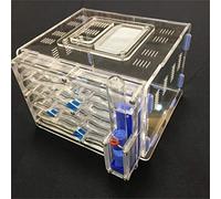 ant grape humidité de Bricolage Grand 9color Disponible avec nid de fourmilière, Fourmi Acrylique, fourmilière Acrylique (Transparent)