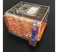 ANT GRAPE humidité de Bricolage Grand 9color Disponible avec nid de fourmilière, Fourmi Acrylique, fourmilière Acrylique (Orange)