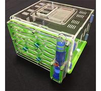 ANT GRAPE humidité de Bricolage Grand 9color Disponible avec nid de fourmilière, Fourmi Acrylique, fourmilière Acrylique (Green)