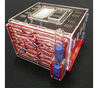 ANT GRAPE humidité de Bricolage Grand 9color Disponible avec nid de fourmilière, Fourmi Acrylique, fourmilière Acrylique (Red)