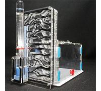 Ant Grape Nid de fourmis, conception en T DIY, avec zone d'alimentation, acrylique, noir