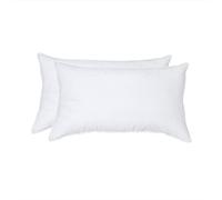 Ant-Home Lot de 2 Coussins décoratifs en Plumes Douces pour canapé, lit, canapé, 30,5 x 50,8 cm