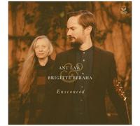 Ant Law / Beraha,Brigitte - Ensconced [Compact Discs]