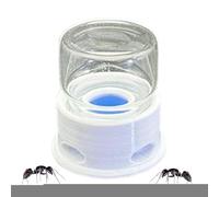 Ant Liquid Feeder, Transparent Water Station, Anti-Drowning Dispenser with 1.42x1.5 inches, Bee Reptile Care Supply for Home, Classroom, Outdoor, Habitat, Observation, Hydration Support