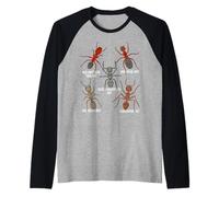 Ant Lover Kids Entomology Ant Species Fourmis Rouges Manche Raglan