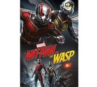 Ant-Man and The Wasp (Dynamic) - 61x91,5 cm - AFFICHE / POSTER G
