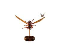 Hot Toys Ant-Man on Flying Ant and The Wasp Movie Masterpiece
