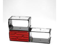 Ant Nest Unlimited Connection Adulte Fourmis Ferme Acrylique Transparent Observation Comportement Recherche Vivante Ant and Queen Ant Enseignement Nid de fourmis Convient pour les enfants et les