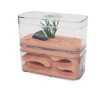 Ant Nid de fourmis en plâtre Formicarium Habitat pour animaux domestiques Château d'insectes avec zone d'alimentation
