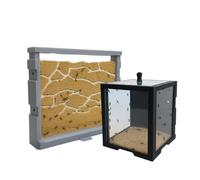 Ant-Shelter - Kit débutant fourmilière et Aire de Chasse pour Fourmis - Terrarium pour l'élevage des Fourmis - Fourmilières - Activités pour Enfants - Idées Cadeaux Enfants (Gris)