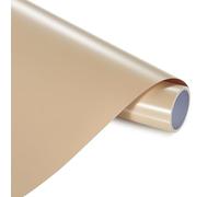 ANT - Vinyle adhésif permanent pour projets de bricolage, décalcomanie, résistant à la décoloration, utilisation en intérieur et en extérieur, pour travaux manuels, Cricut, silhouette, expressions,