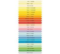 Antalis - ColorAction - Ramette 500 feuilles papier couleur pour Imprimante jet d`encre/laser/Copieur - 80g - A3 - Atoll