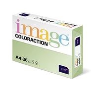 Antalis ColorAction Ramette 500 feuilles papier couleur pour Imprimante jet d'encre/laser/Copieur 80g A4 Vert clair