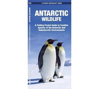 Antarctic Wildlife