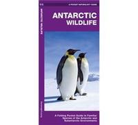 Antarctic Wildlife A Folding Pocket Guide to Familiar Species of the Antarctic and Subantarctic Environments by Illustrated by Dr Raymond Leung James Kav Illustrated by Dr Raymond Leung James Kavanagh