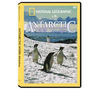 Antarctic Wildlife Adventure [Import USA Zone 1]