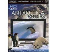 Antarctica Dreaming [HD DVD] [Import anglais]